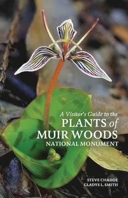 Steve Chadde, Gladys L Smith, Gladys L. Smith, L. Smith, Gladys - Visitor's Guide to the Plants of Muir Woods National Monument, Häftad