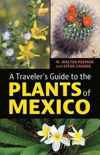 bokomslag A Traveler's Guide to the Plants of Mexico