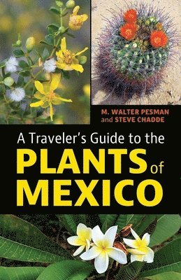 M Walter Pesman, Steve Chadde - Traveler's Guide to the Plants of Mexico, Häftad