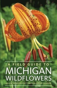 bokomslag A Field Guide to Michigan Wildflowers