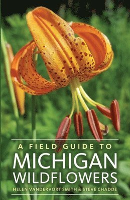 Helen Vandervort Smith, Steve Chadde - Field Guide to Michigan Wildflowers, Häftad