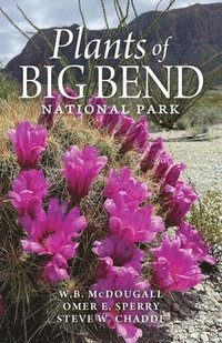 bokomslag Plants of Big Bend National Park: A Guide to the Trees, Shrubs, Wildflowers, Cacti, and Ferns of the Big Bend Region of Texas