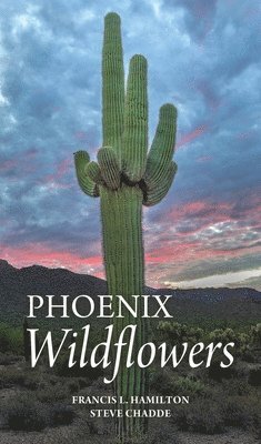 bokomslag Phoenix Wildflowers: A Field Guide to the Common Shrubs, Herbs, Cacti and Ferns of the Phoenix Region