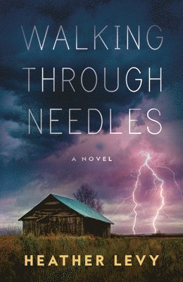 Heather Levy - Walking Through Needles, Häftad