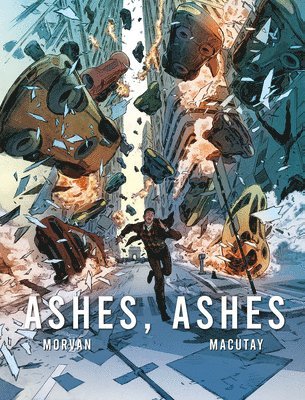 bokomslag Ashes, Ashes