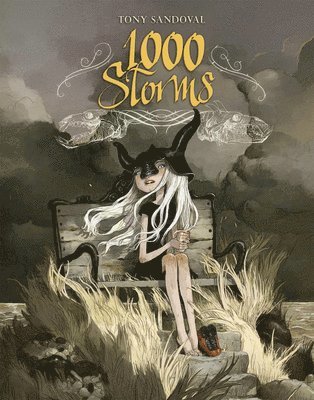 bokomslag 1000 Storms