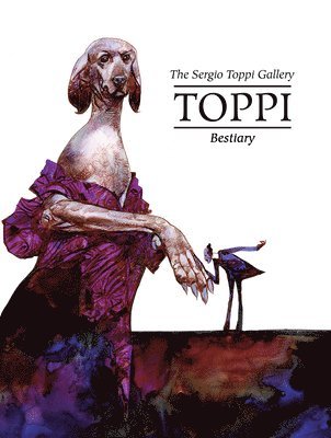 bokomslag The Toppi Gallery