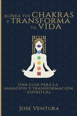 bokomslag Alínea Tus Chakras y Transforma Tu Vida