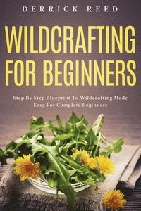 bokomslag Wildcrafting For Beginners