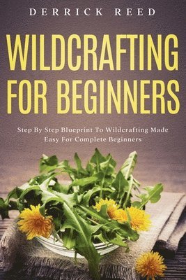 Wildcrafting For Beginners 1