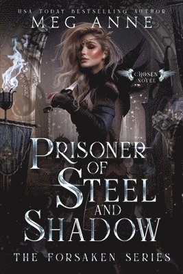 Meg Anne - Prisoner of Steel and Shadow, Häftad