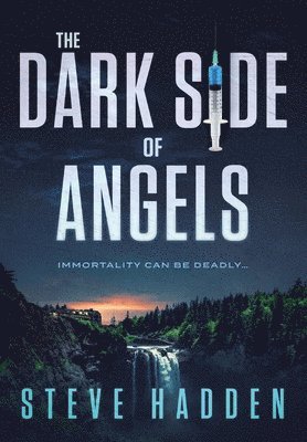 Steve Hadden - Dark Side of Angels, Inbunden