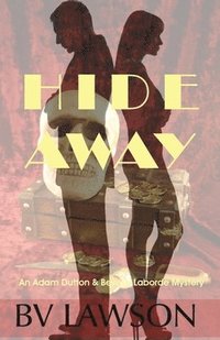 bokomslag Hide Away