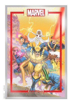 bokomslag The Marvel Portfolio of David Nakayama