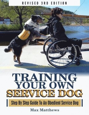 Training Your Own Service Dog 1