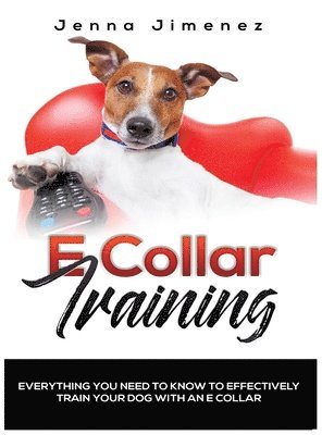 bokomslag E Collar Training