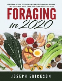 bokomslag Foraging in 2020