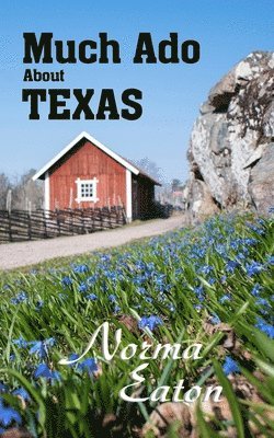 Much Ado About Texas 1