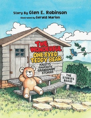 Wonderful One-Eyed Teddy Bear