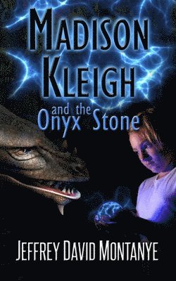 bokomslag Madison Kleigh and the Onyx Stone