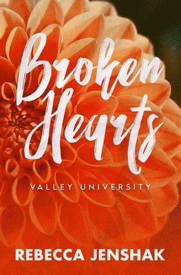 bokomslag Broken Hearts - Valley University