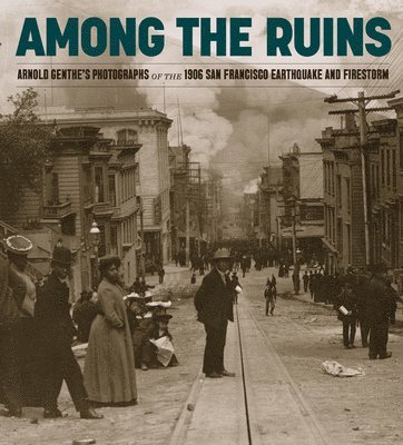 Karin Breuer - Among the Ruins, Inbunden