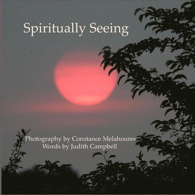 Spiritually Seeing 1