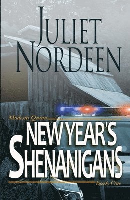 New Year's Shenanigans 1