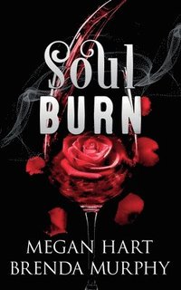 bokomslag Soul Burn