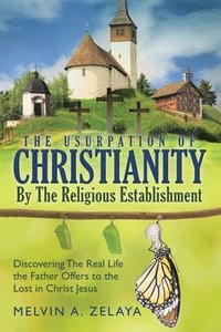bokomslag The Usurpation Of Christianity By The Religious Establishment