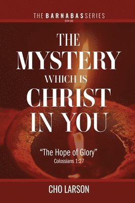 bokomslag The Mystery Which Is Christ in You