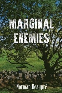 bokomslag Marginal Enemies