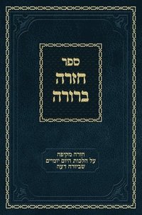 bokomslag Chazarah Berurah YD Vol. 2