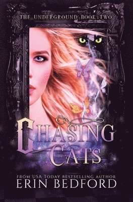 Chasing Cats 1