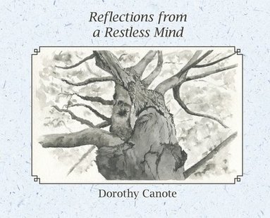 bokomslag Reflections from a Restless Mind