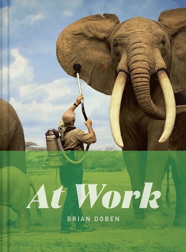 At Work, Inbunden