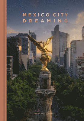 Mexico City in Focus