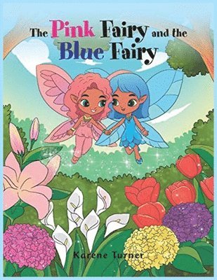 bokomslag Pink Fairy and the Blue Fairy