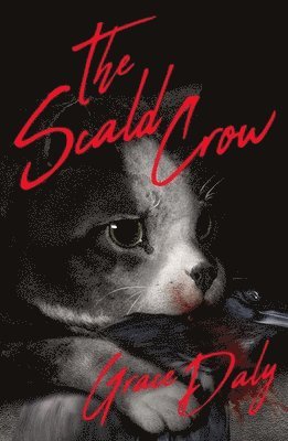 bokomslag Scald-Crow