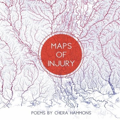 Maps of Injury 1