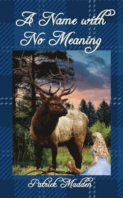 Patrick Madden - Name with No Meaning, Häftad