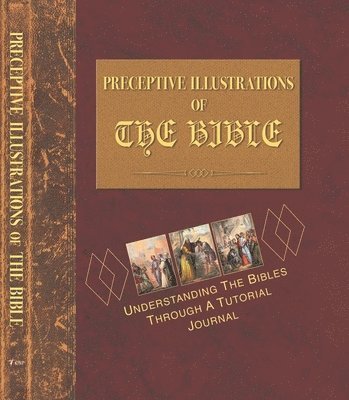 bokomslag PRECEPTIVE ILLUSTRATIONS OF THE BIBLE