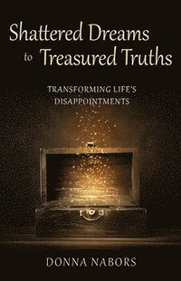 bokomslag Shattered Dreams to Treasured Truths
