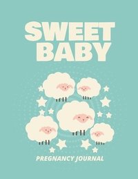 bokomslag Sweet Baby Pregnancy Journal