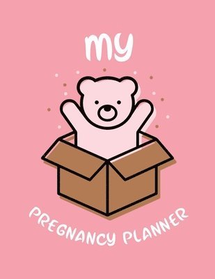 My Pregnancy Planner 1