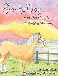 bokomslag SandyBoy and His New Home (A SandyBoy Adventure)