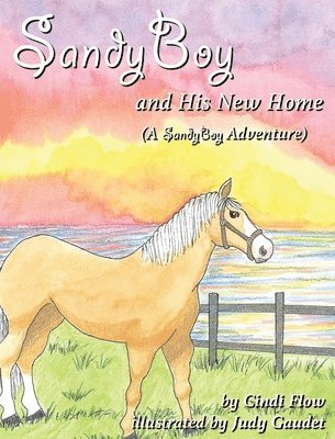 SandyBoy and His New Home (A SandyBoy Adventure) 1