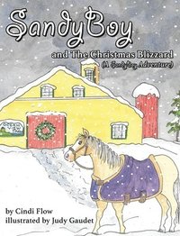 bokomslag SandyBoy and the Christmas Blizzard (A SandyBoy Adventure)