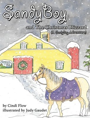 SandyBoy and the Christmas Blizzard (A SandyBoy Adventure) 1