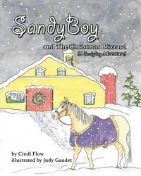 bokomslag SandyBoy and the Christmas Blizzard (A SandyBoy Adventure)